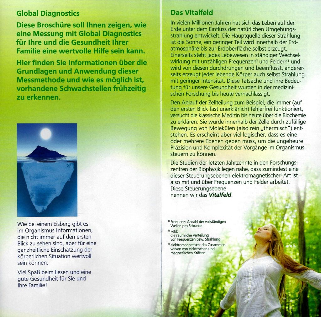 Informationen über die Grundlagen und Anwendung von Global Diagnostics (Messmethode Vitalfeld)